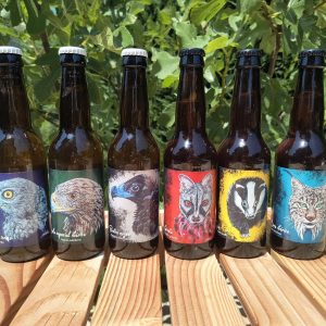 Pack solidario Amus: cerveza artesana
