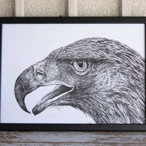 Dibujo Águila