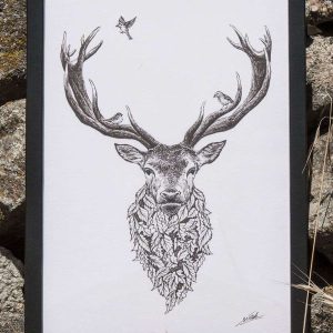 Dibujo Ciervo Naturaleza