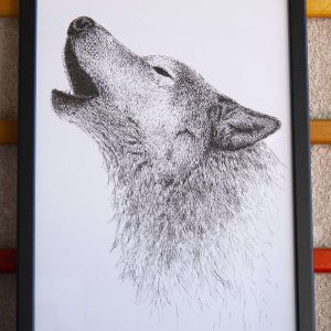 Dibujo Lobo