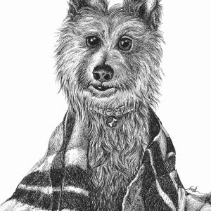 Ilustraciones animales personalizables